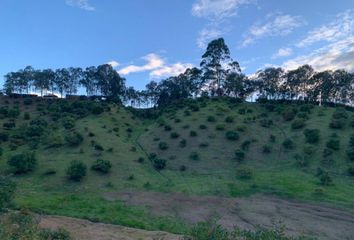 Lote de Terreno en  Guarne, Antioquia