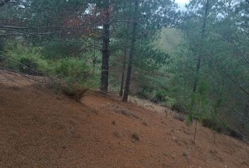 Parcela en  Pichilemu, Cardenal Caro