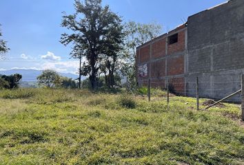 Lote de Terreno en  Norte, Santa Rosa De Cabal