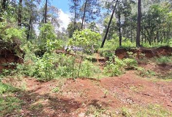 Lote de Terreno en  San Gabriel Ixtla, Valle De Bravo, México, Mex