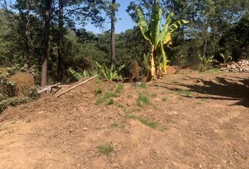 Lote de Terreno en  Circuito A Avándaro, Valle De Bravo, México, 51226, Mex