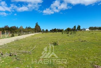 Parcela en  Puerto Montt, Llanquihue