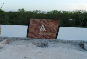 Lote de Terreno en  Calle 21, Yaxkukul, Yucatán, Mex