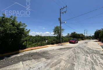 Lote de Terreno en  Pueblo Viejo, Morelos