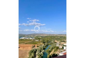 Chalet en  Arcos De La Frontera, Cádiz Provincia