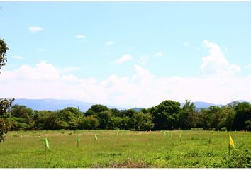 Lote de Terreno en  Carmen De Apicalá, Tolima