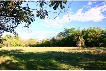 Lote de Terreno en  Carmen De Apicalá, Tolima