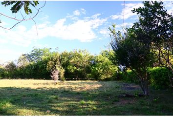 Lote de Terreno en  Carmen De Apicalá, Tolima