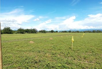 Lote de Terreno en  Flandes, Tolima