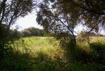 Terreno en  Algaida, Balears (illes)