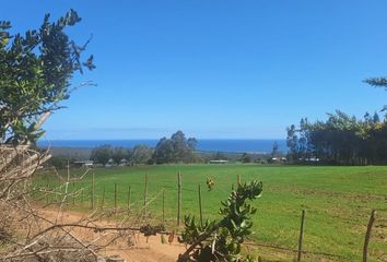 Parcela en  Pichilemu, Cardenal Caro