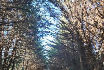 Parcela en  Pichilemu, Cardenal Caro