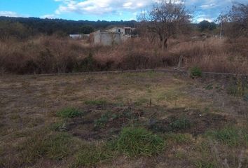 Lote de Terreno en  Calle General Emiliano Zapata Salazar 402-406, Ocotepec, Cuernavaca, Morelos, 62220, Mex