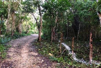 Lote de Terreno en  Mariposa, Macario Gómez, Tulum, Quintana Roo, 77796, Mex