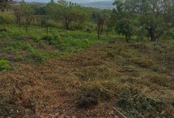 Lote de Terreno en  Pueblo Santo Domingo Ocotitlán, Tepoztlán