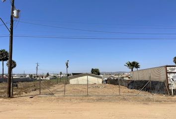 Lote de Terreno en  Calle Alhelí 103-111, Vicente Guerrero, San Quintín, Baja California, 22920, Mex