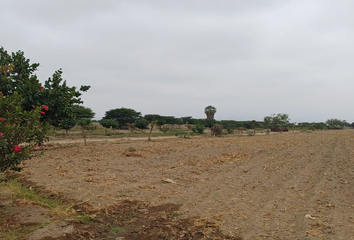 Terreno en  El Carmen, Chincha