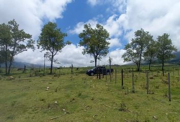 Terrenos en  Tafí Del Valle, Tucumán