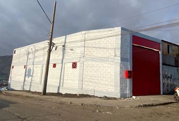 Bodega en  Iquique, Iquique