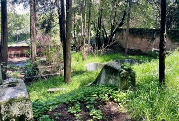 Lote de Terreno en  Camino Al Desierto De Los Leones, Cedros, Álvaro Obregón, Ciudad De México, 01729, Mex