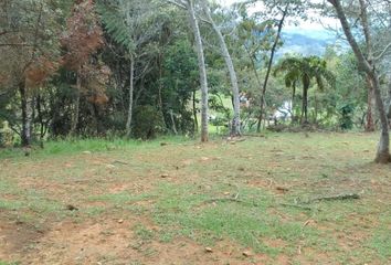 Lote de Terreno en  Las Palmas, Medellín