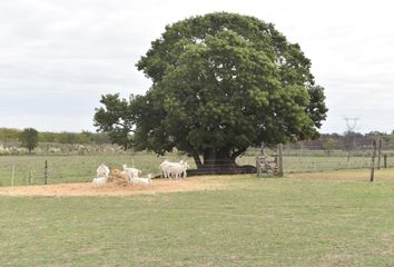 Terrenos en  La Lonja, Partido Del Pilar