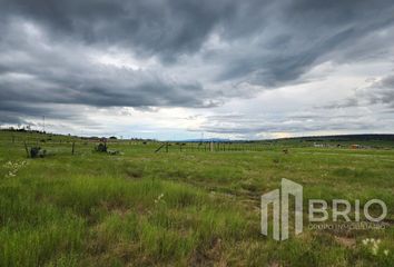 Lote de Terreno en  Carretera El Pino-palos Colorados, Durango, 34383, Mex