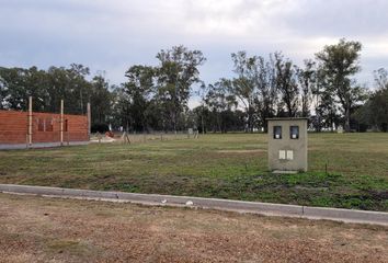 Terrenos en  Gualeguaychú, Entre Ríos