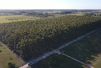 Terrenos en  Juan Pujol, Corrientes