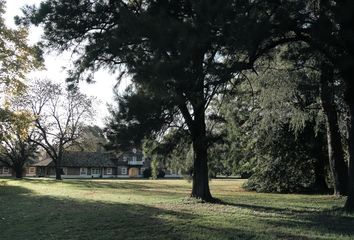 Terrenos en  La Lonja, Partido Del Pilar