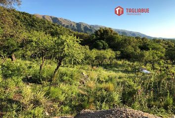 Terrenos en  Merlo, San Luis