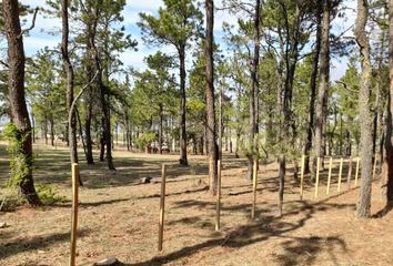 Terrenos en  Tafí Del Valle, Tucumán