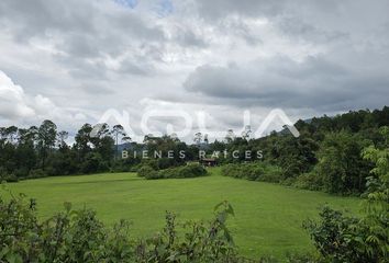 Lote de Terreno en  Calle De Los Remedios, San Jerónimo Amanalco, Texcoco, México, 56244, Mex