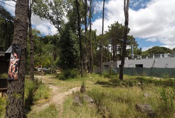 Terrenos en  Otro, Villa Gesell