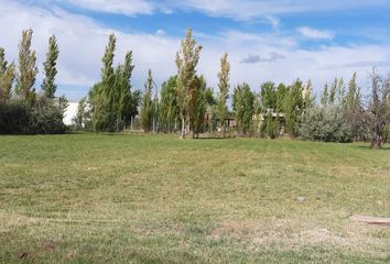 Terrenos en  Quintas De Sara, Río Negro