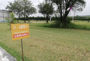 Lote de Terreno en  Montemorelos Centro, Montemorelos