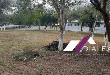 Lote de Terreno en  Montemorelos Centro, Montemorelos