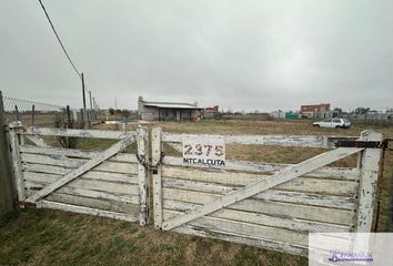 Quinta/Finca en  Calle Almirante Brown, 9 De Julio, Provincia De Buenos Aires, Arg