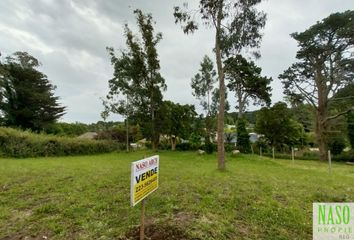 Terrenos en  Calle Félix 345, Sierra De Los Padres, General Pueyrredón, B7627, Provincia De Buenos Aires, Arg