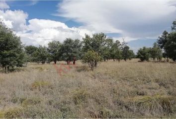 Lote de Terreno en  Santa María, Durango