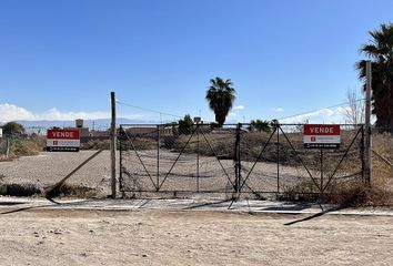 Terrenos en  Los Corralitos, Mendoza