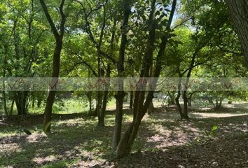 Lote de Terreno en  Calle De La Noria, San Vicente, Santiago, Nuevo León, 67312, Mex