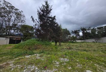 Lote de Terreno en  La Quinta San Martín, San Cristóbal De Las Casas