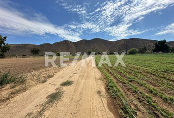 Lote de Terreno en  Murgia, Ensenada