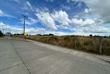 Parcela en  Los Muermos, Llanquihue