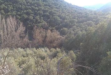 Terreno en  Illora, Granada Provincia