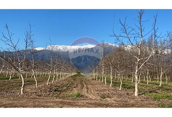 Parcela en  Paine, Maipo