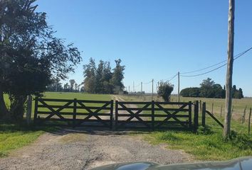 Terrenos en  General Rodríguez, Partido De General Rodríguez