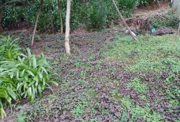 Lote de Terreno en  51208, El Arco, México, Mex