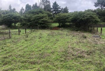 Lote de Terreno en  Carretera A San Mateo Acatitlán 20-20, Avándaro, Valle De Bravo, México, 51200, Mex